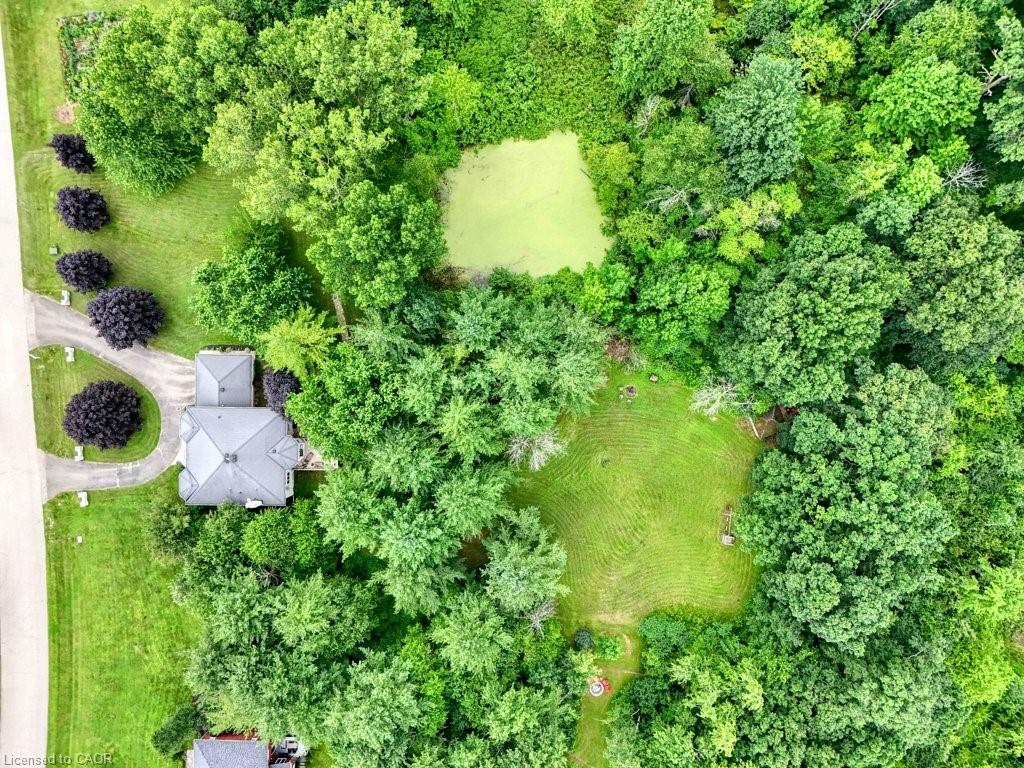 5 Columbo Court Property Photo 46