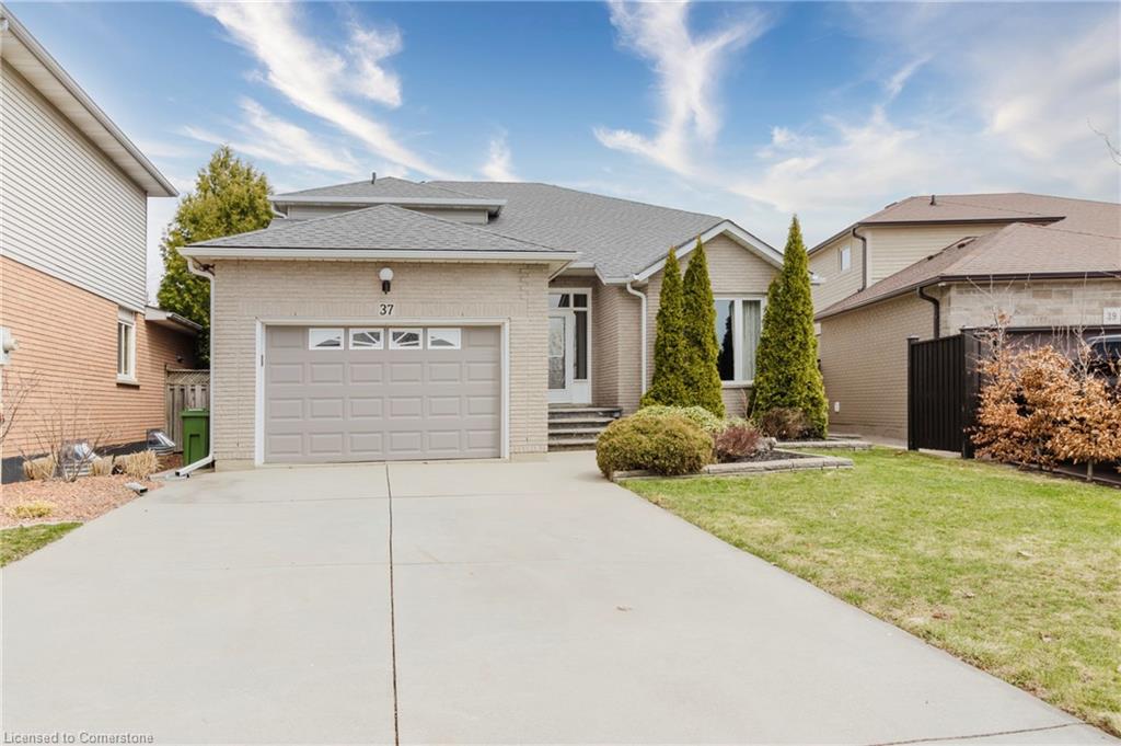 37 Springgarden Crescent Property Photo
