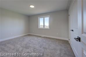 113 Bean Street Property Photo 29