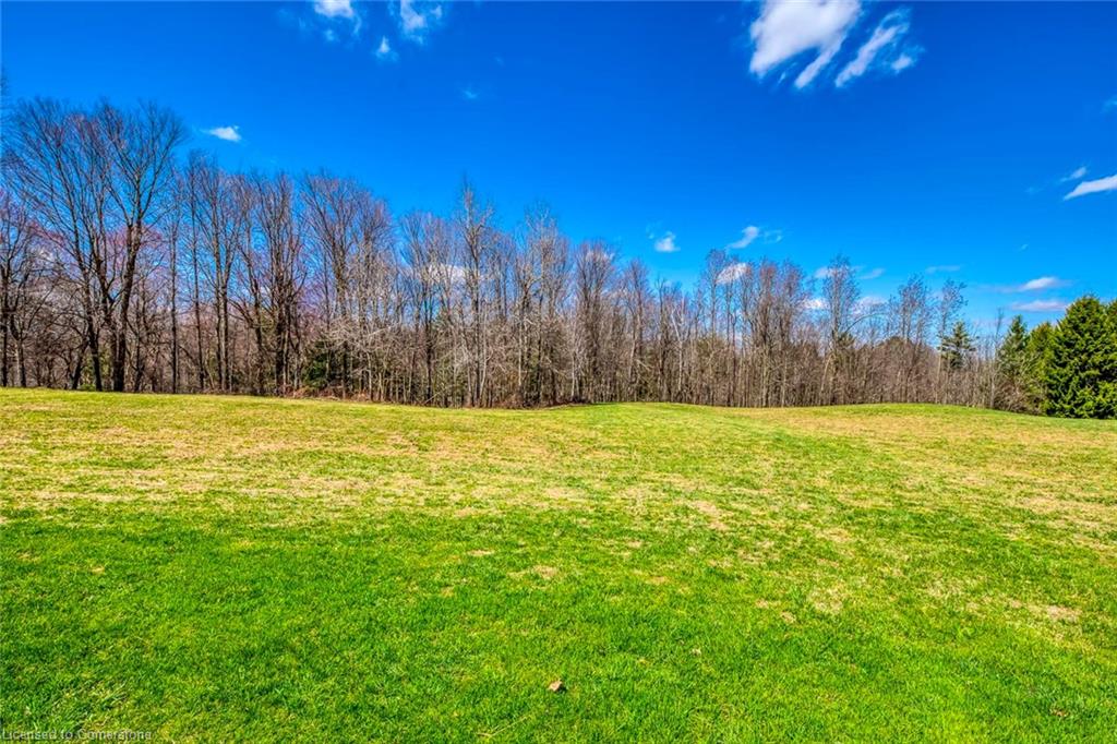1215 Britannia Road Property Photo 28