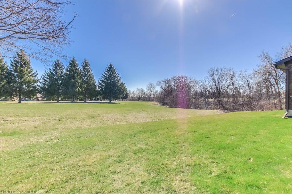 35 Viola Court Property Photo 40