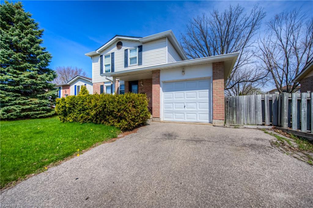 29 Jasper Street Property Photo