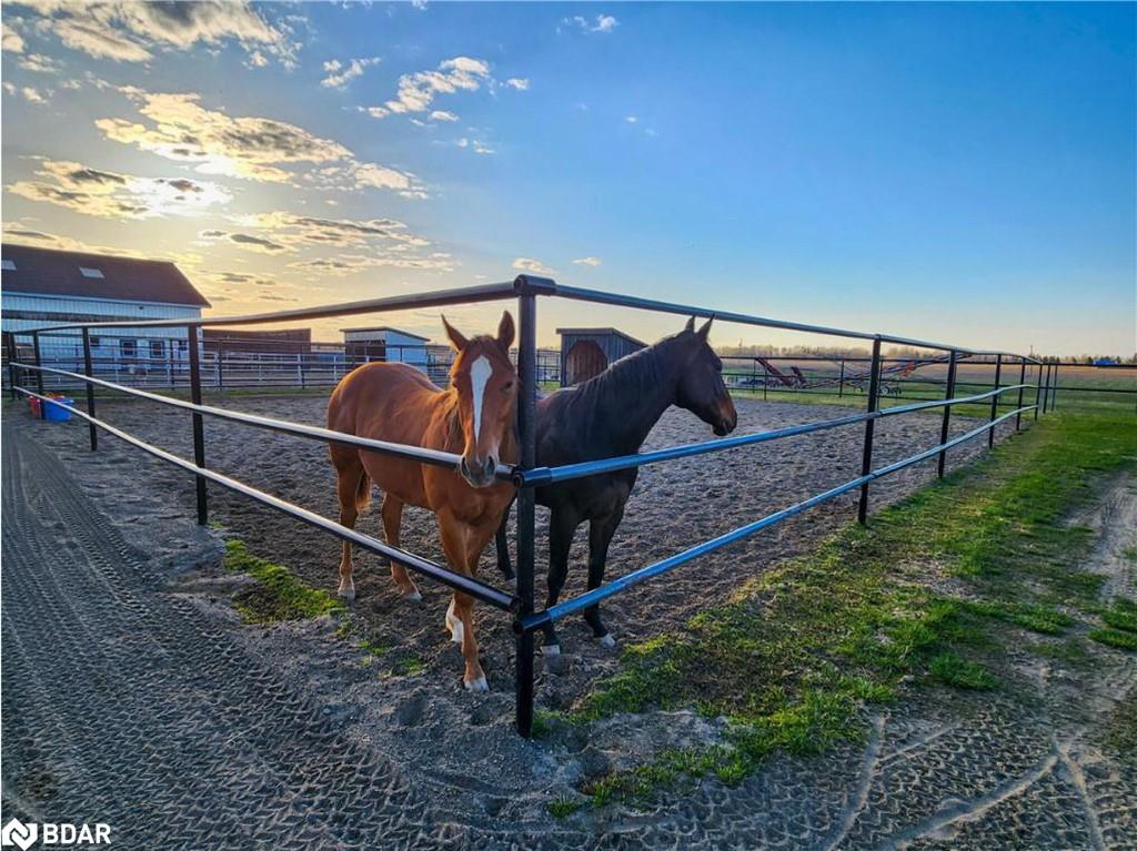 328535 Highway 560 Property Photo 25