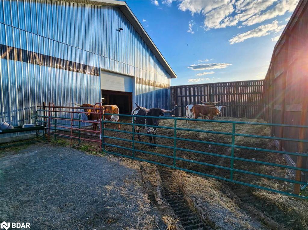 328535 Highway 560 Property Photo 26