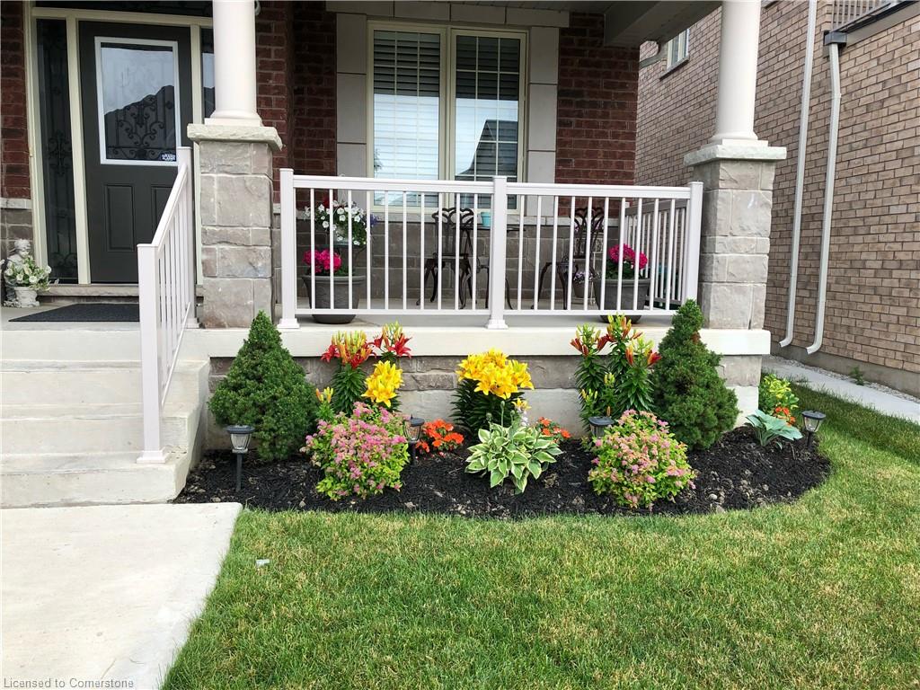 64 Kalmia Road Property Photo 4