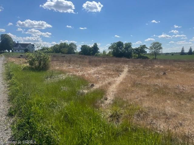 137 Sour Springs Road Property Photo 6