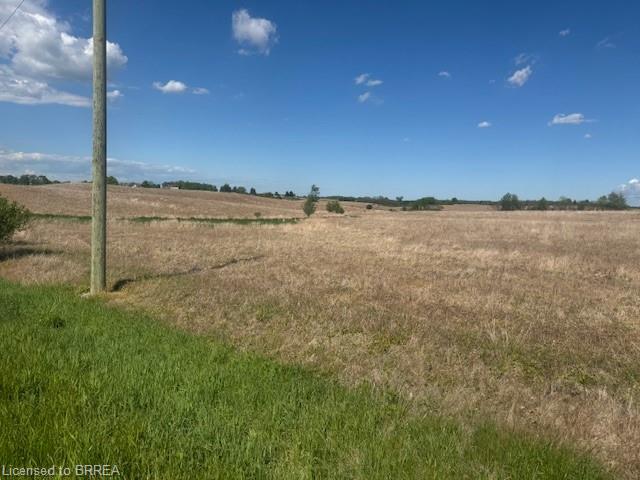 137 Sour Springs Road Property Photo 8