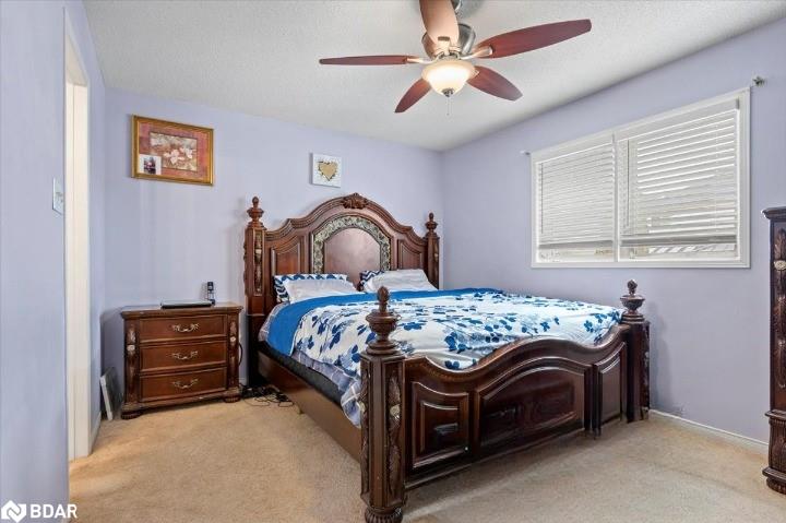 16 Goodwin Avenue Property Photo 16