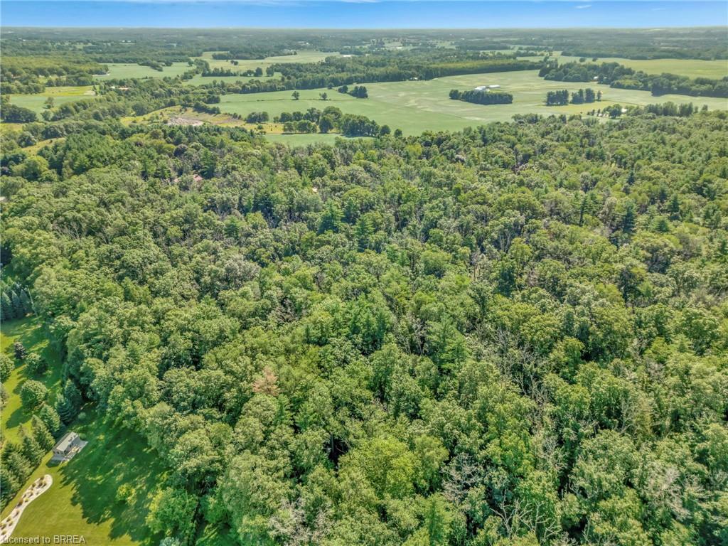 169 Clarke Road Property Photo 3