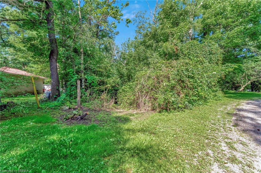 169 Clarke Road Property Photo 10