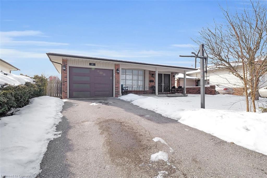 17 Locust Crescent Property Photo