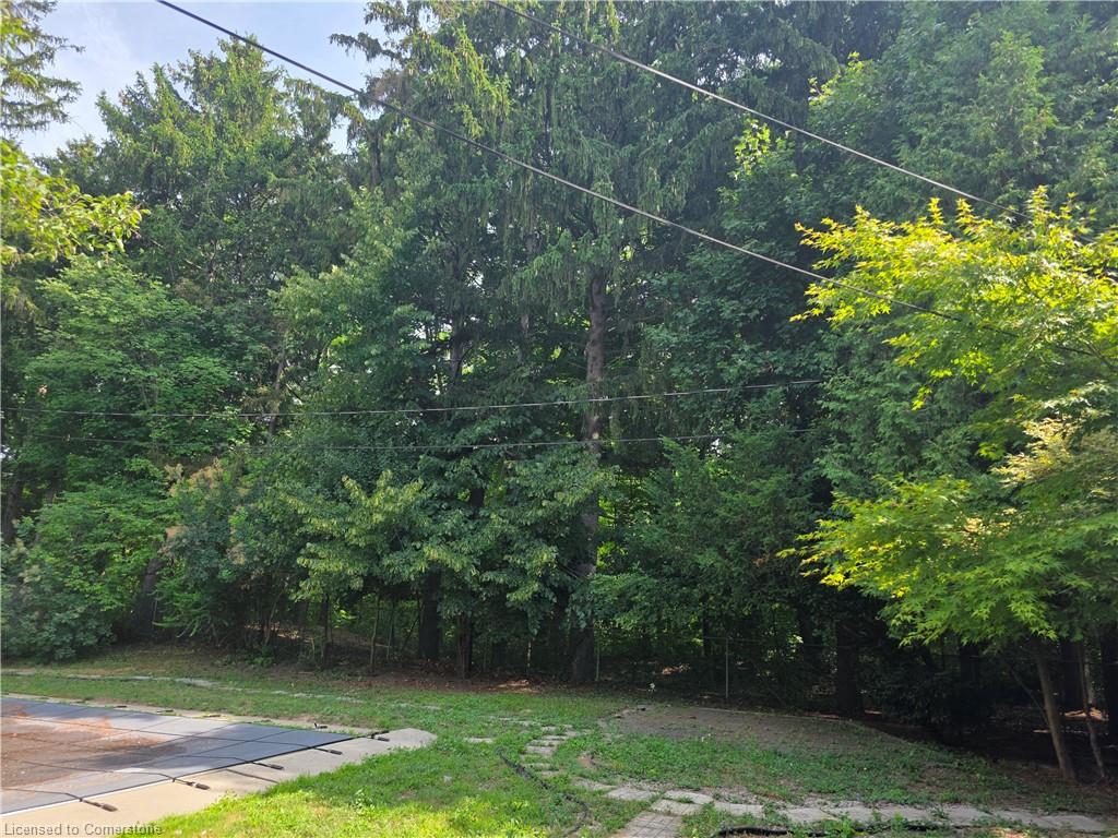 145 Wolfdale Avenue Property Photo 25