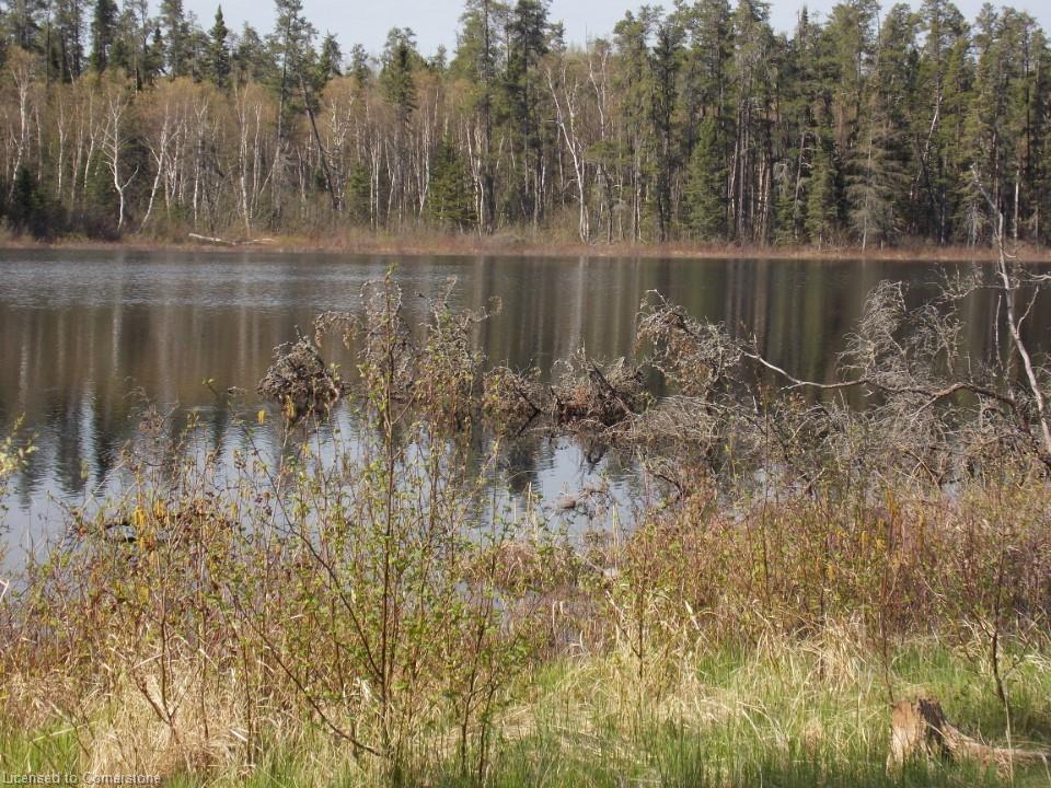 5032 Trans-canada Highway Property Photo 16