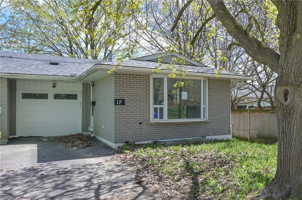 17 Shirley Street Property Photo