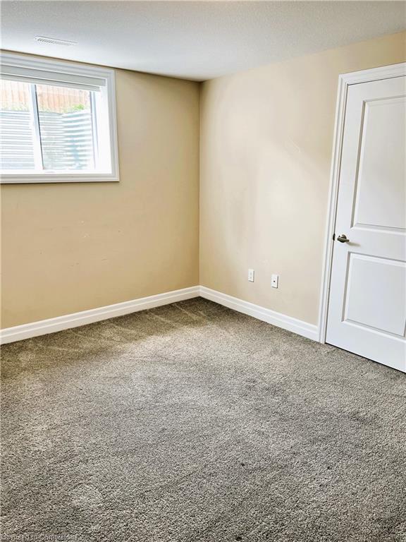 4062 Van Bree Drive Property Photo 30