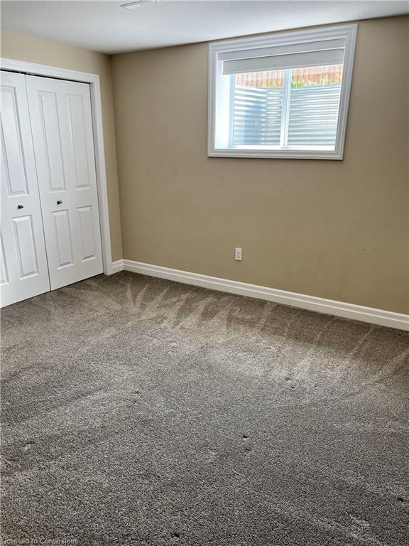 4062 Van Bree Drive Property Photo 32