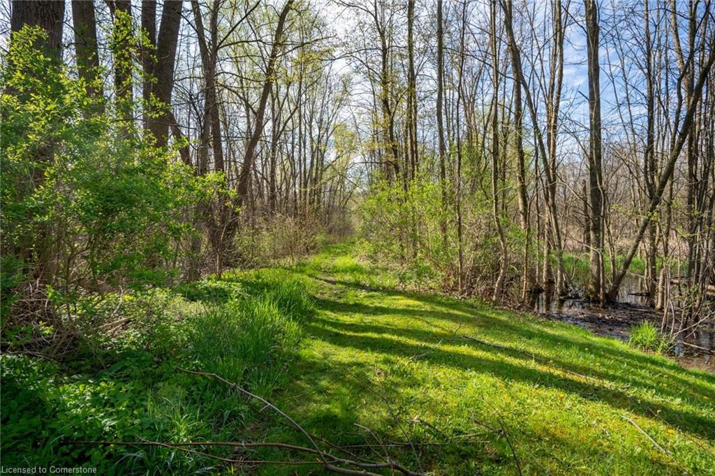 Pc Lot 15 4th Concession Rd W Property Photo 4