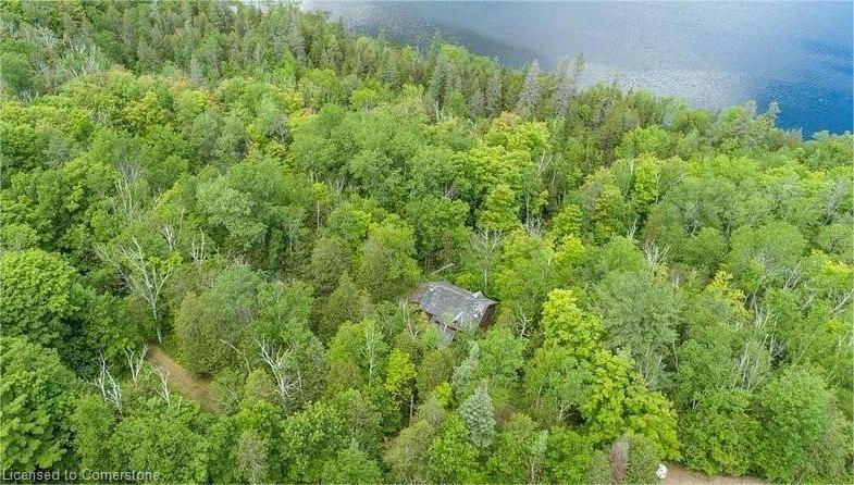 2724 River Road Property Photo 25