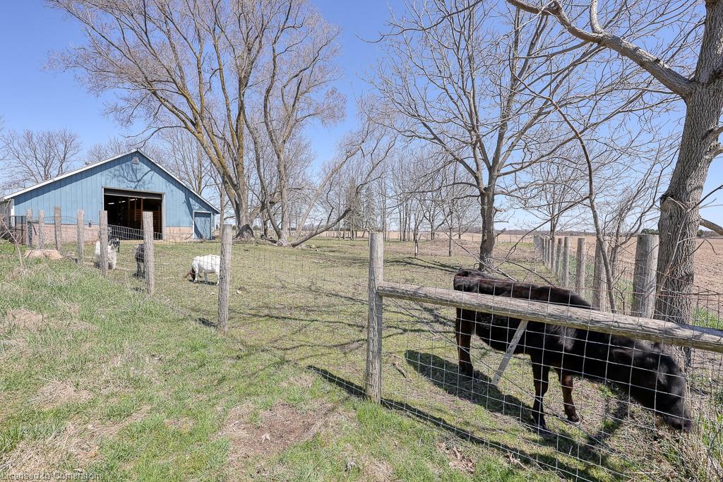 3892 Lewis Road Road Property Photo 11