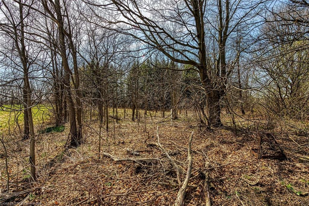 521 Baptist Church Road Property Photo 27