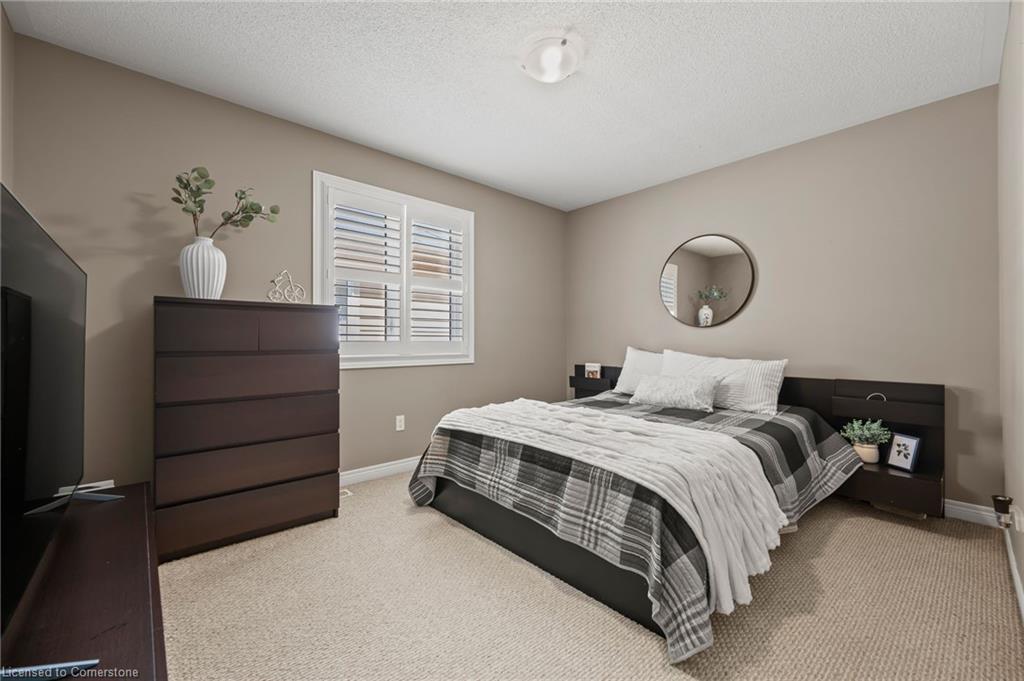 32 Babcock Street Property Photo 29