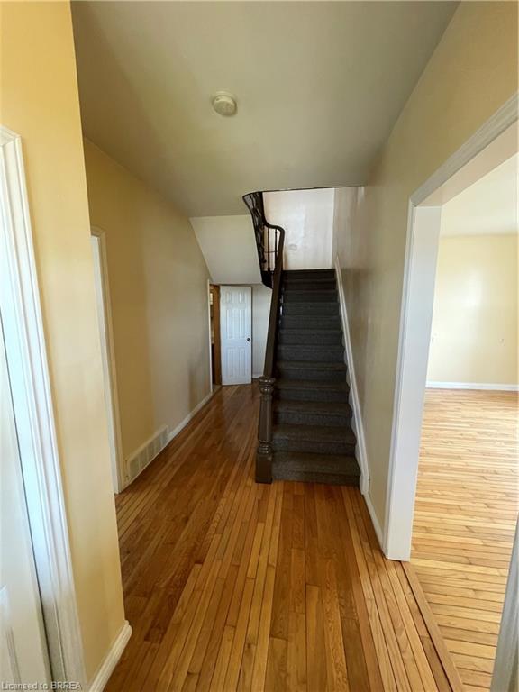 34 Young Street Property Photo 6