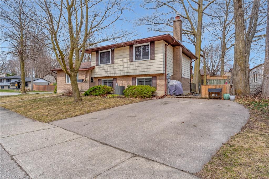 113 Martinglen Crescent Property Photo 3