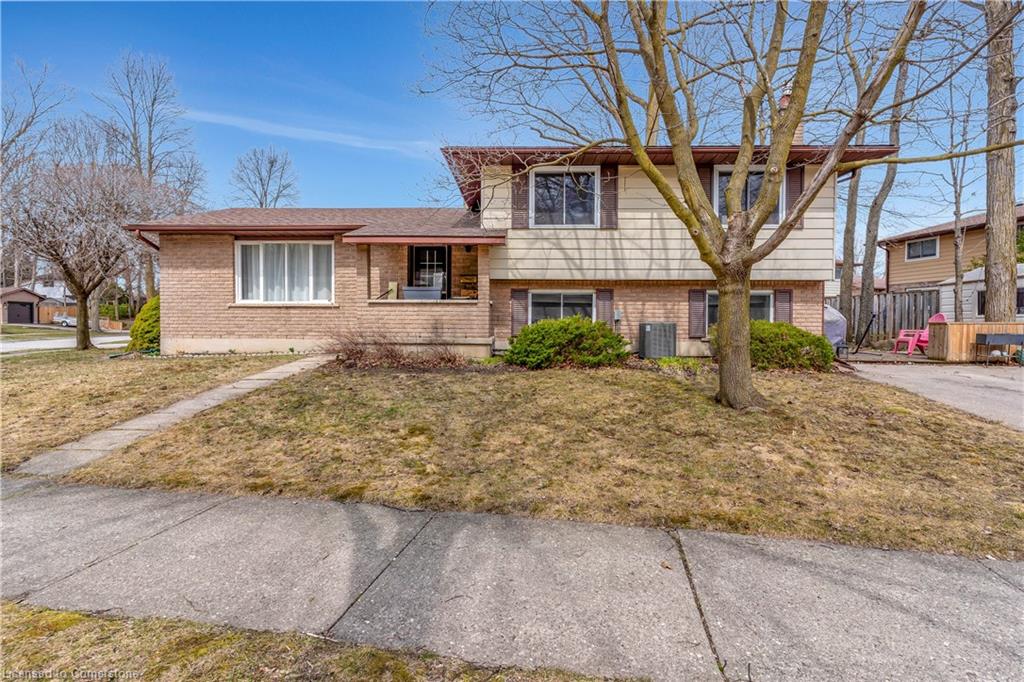 113 Martinglen Crescent Property Photo 4