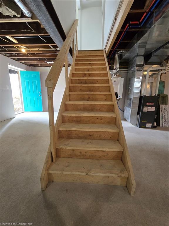 53 Charlotte Street Property Photo 5