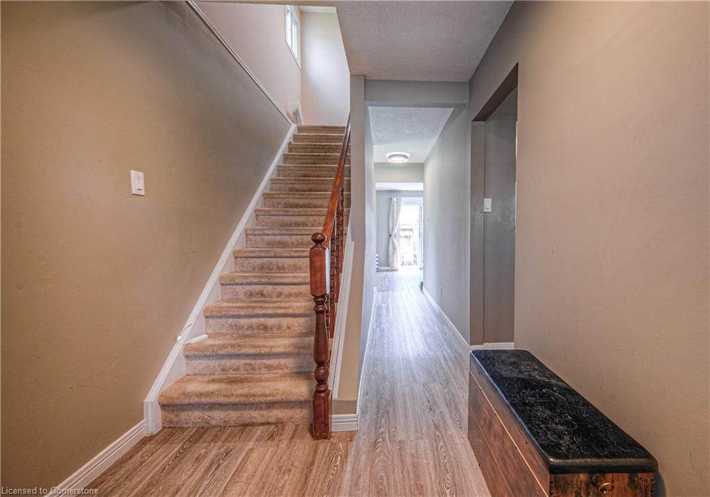 6 Holm Street Property Photo 4