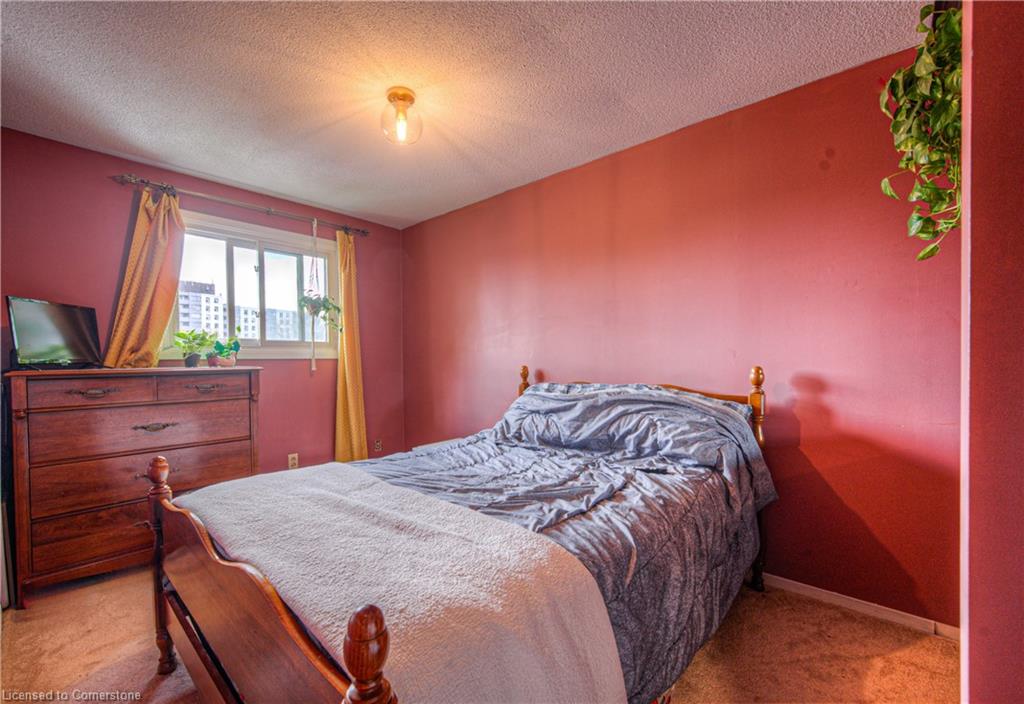 6 Holm Street Property Photo 16