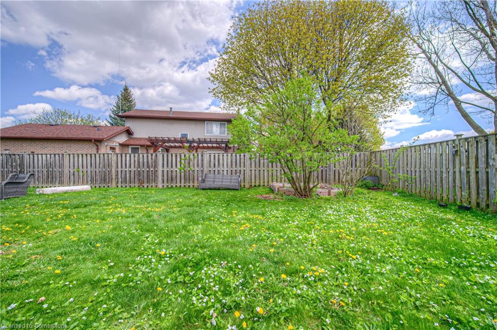 6 Holm Street Property Photo 24