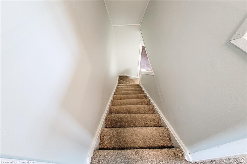 145 Wilkes Street Property Photo 22