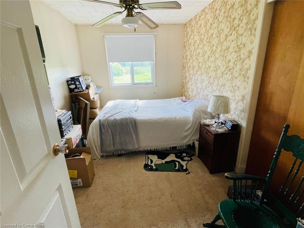 219 Hill Road Property Photo 17