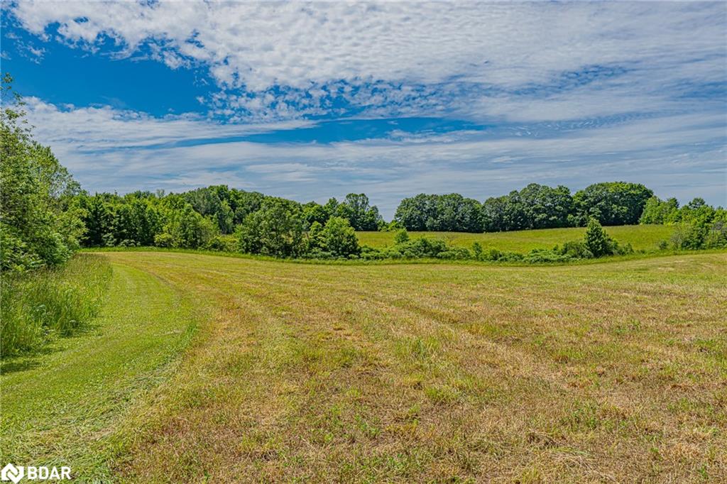 1470 Scarlett Line Line Property Photo 29