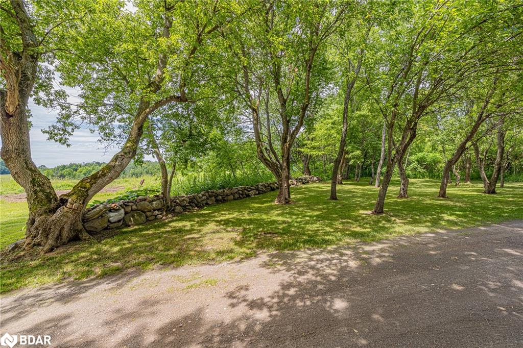 1470 Scarlett Line Line Property Photo 30