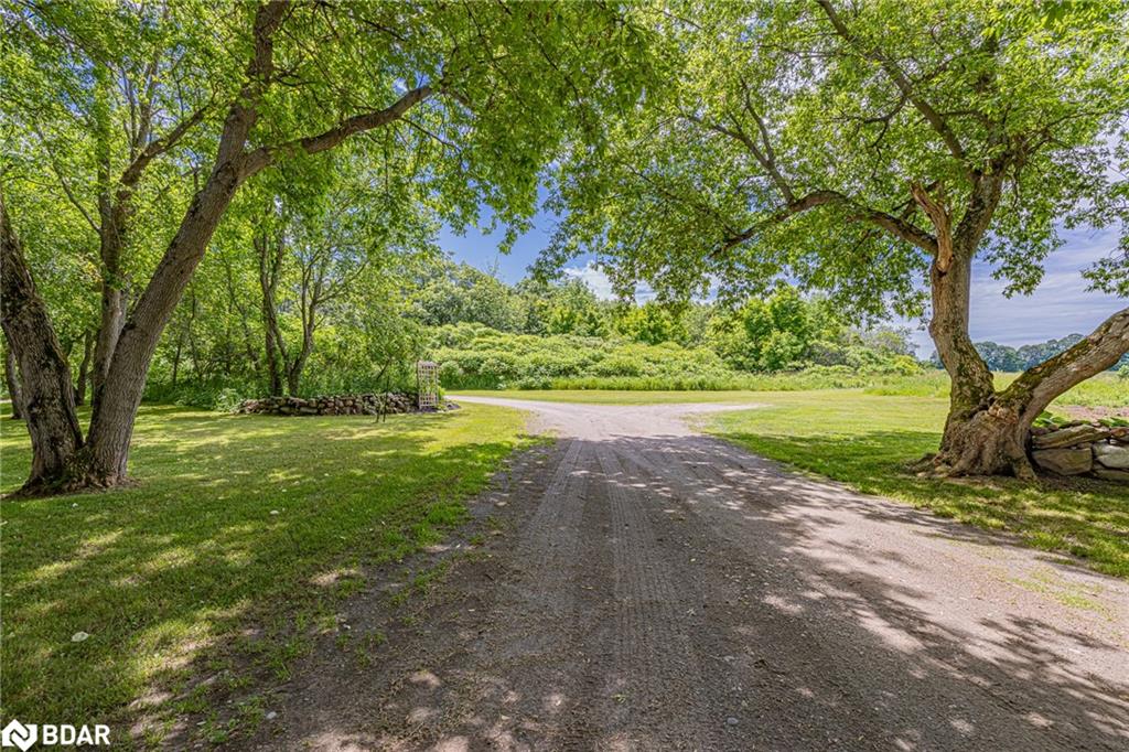 1470 Scarlett Line Line Property Photo 31