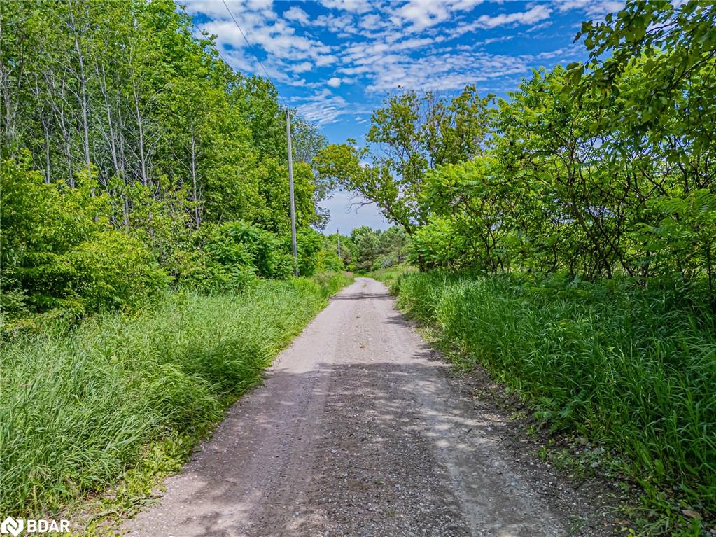 1470 Scarlett Line Line Property Photo 34