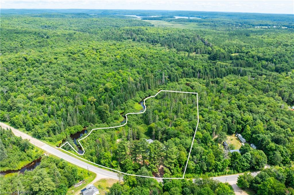 115 Old Rainy Lake Road Property Photo 33