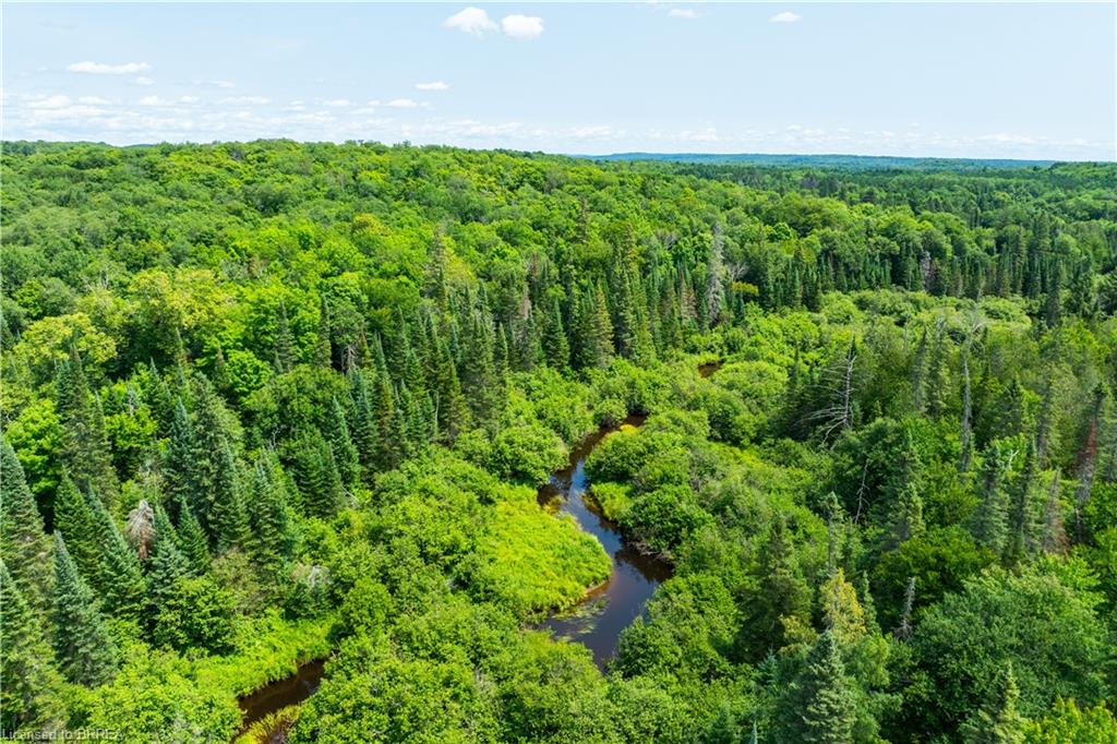 115 Old Rainy Lake Road Property Photo 34