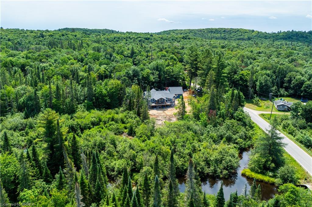 115 Old Rainy Lake Road Property Photo 37