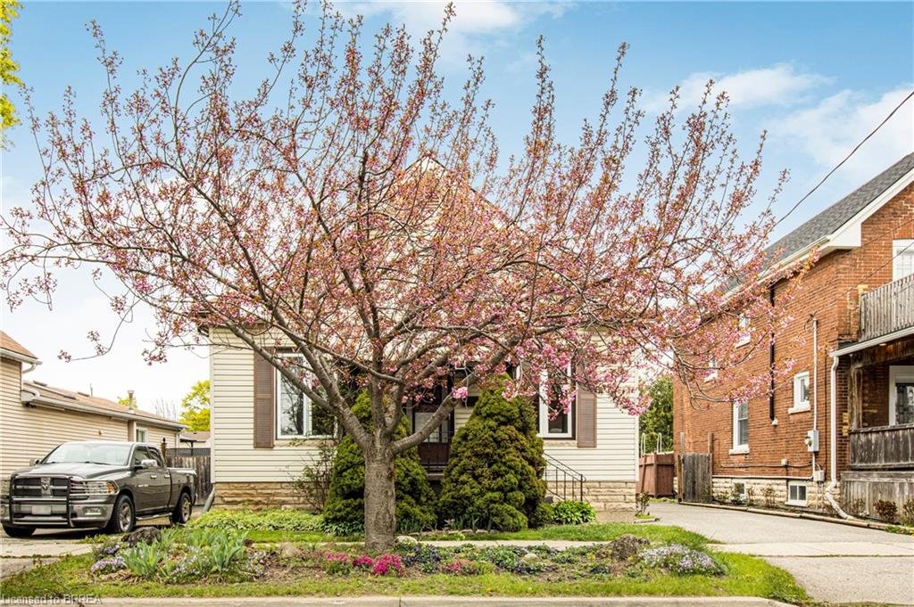 272 Nelson Street Property Photo 2
