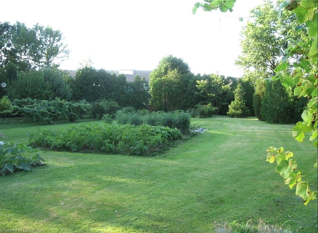 182 Rykert Street Property Photo 8
