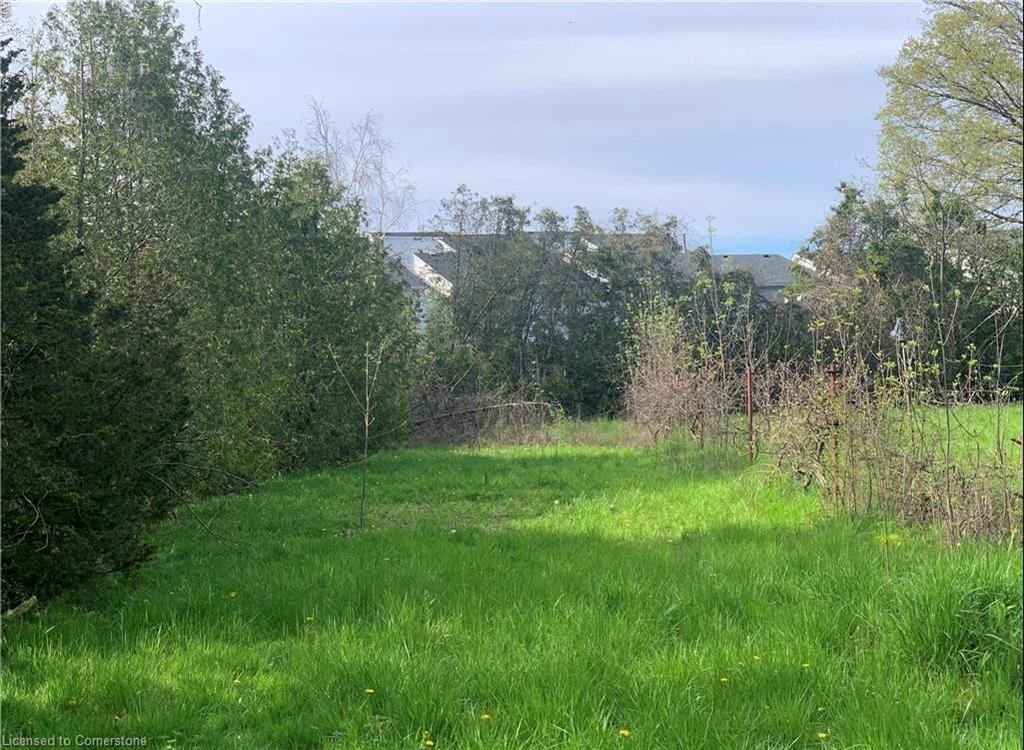 182 Rykert Street Property Photo 12