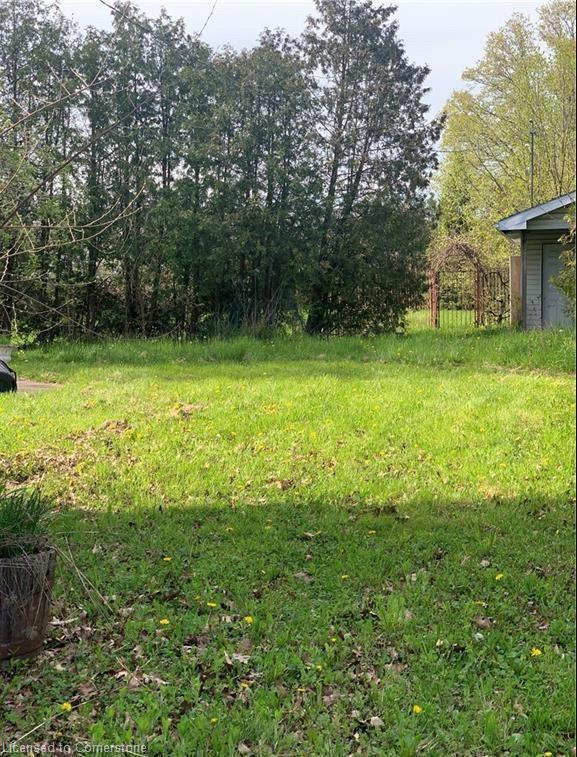182 Rykert Street Property Photo 14