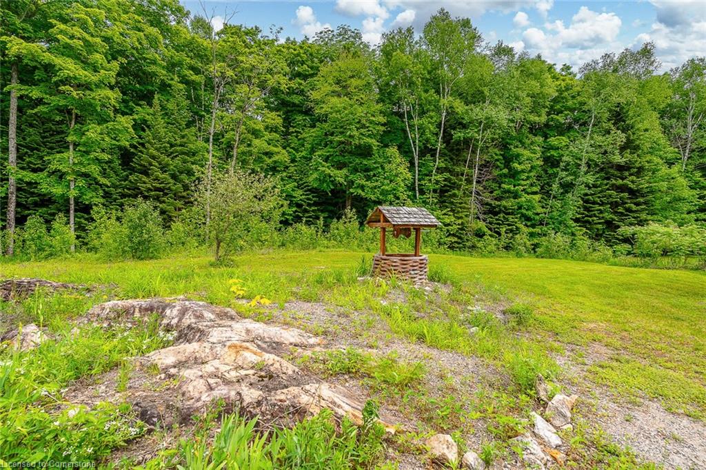 17182 Highway 118 Property Photo 46