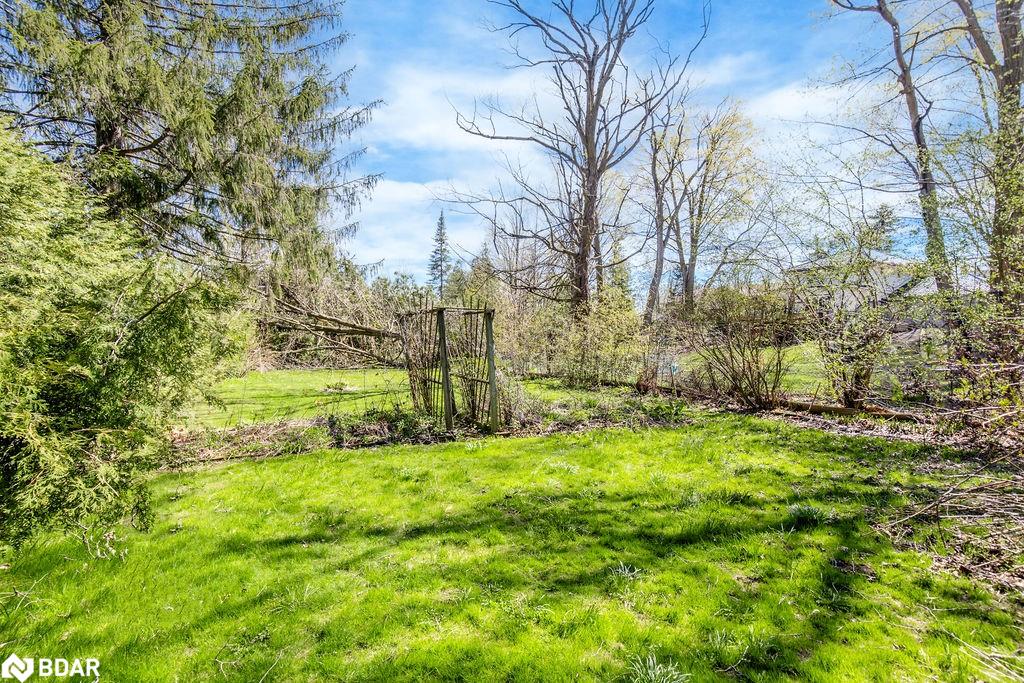 93 Jarvis Street Property Photo 40
