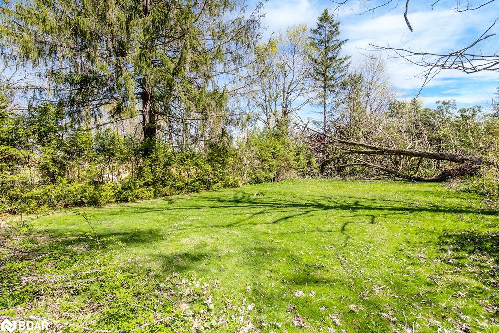 93 Jarvis Street Property Photo 41