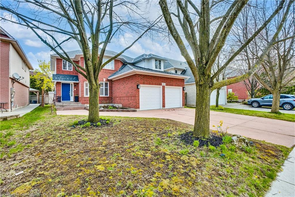 113 Meadowlands Boulevard Property Photo