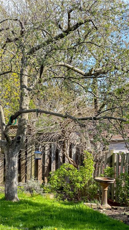 16 Billington Crescent Property Photo 42